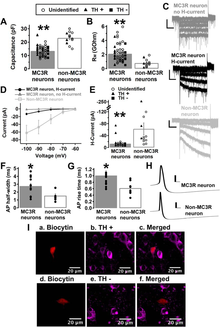 Fig. 2: