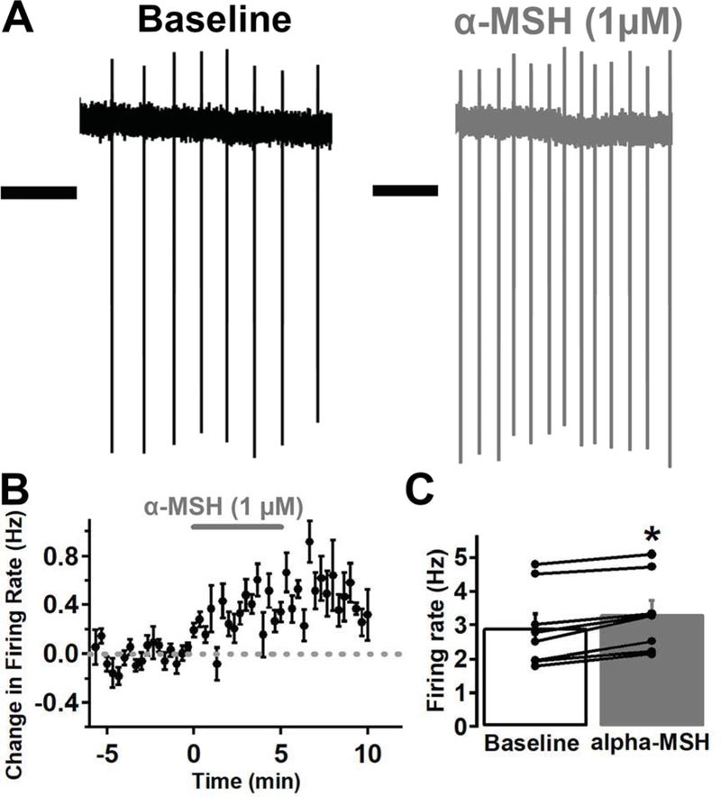 Fig. 3: