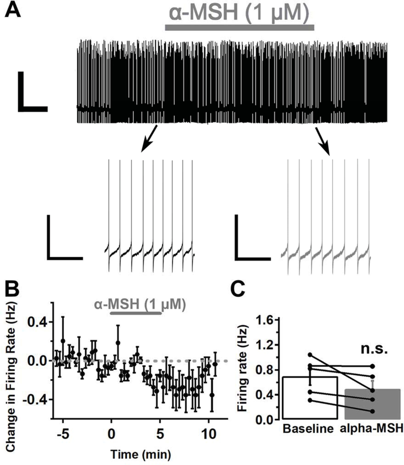 Fig. 5: