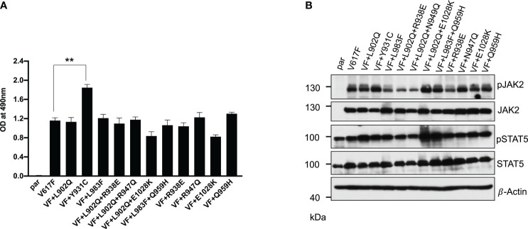 Figure 2