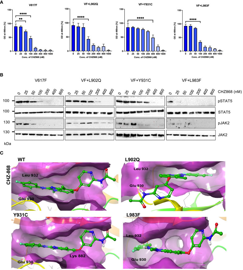 Figure 6