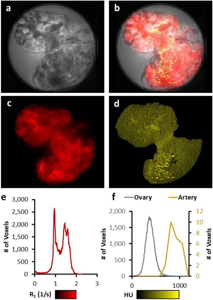 Figure 6: