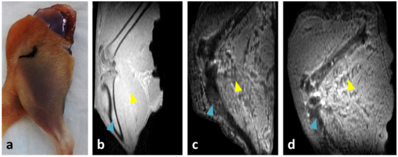 Figure 1: