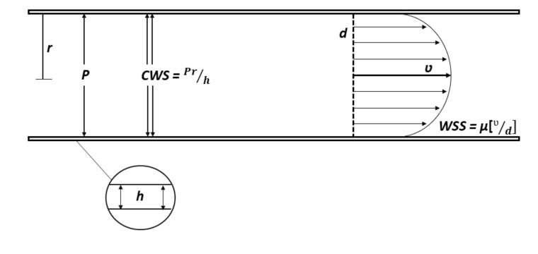 Fig. (1)