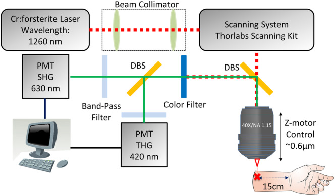 Figure 2