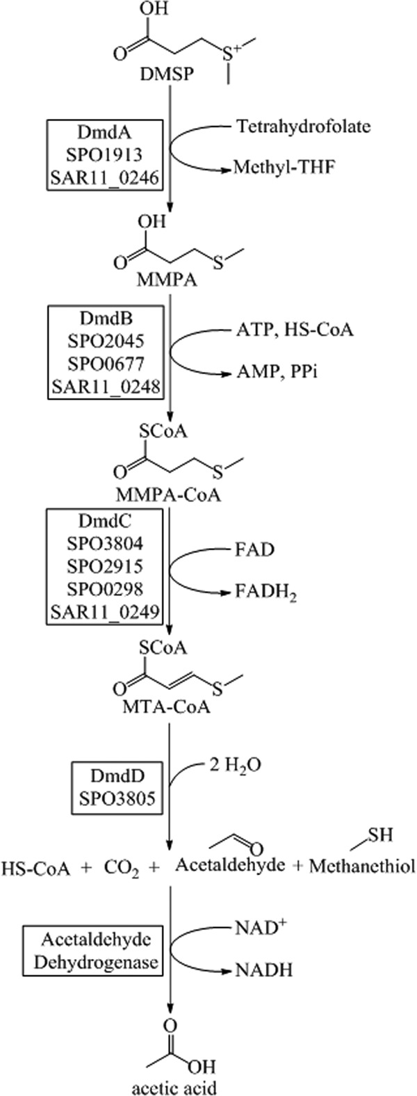 FIG 1