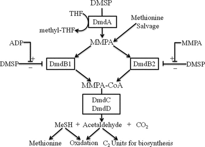 FIG 6