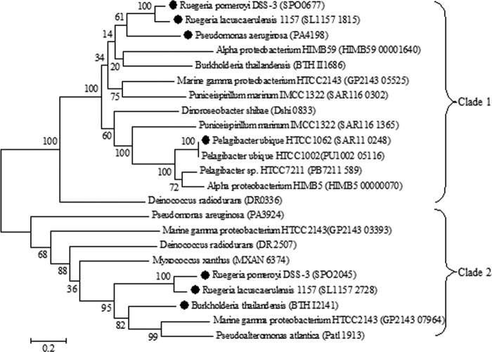 FIG 2