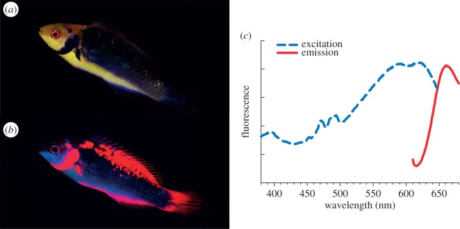 Figure 1.