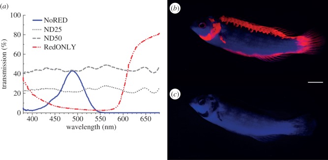 Figure 2.