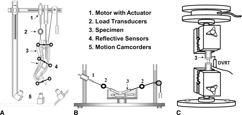 Fig. 3A–C