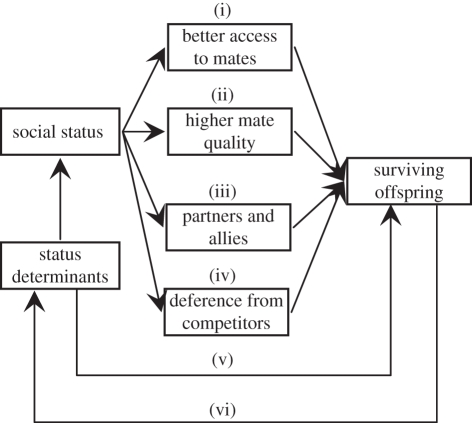 Figure 1.