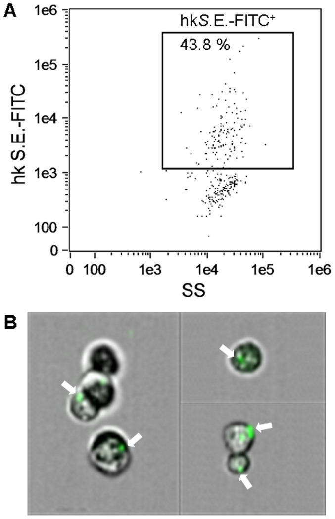 Figure 9