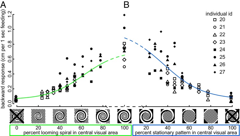 Fig. 5.