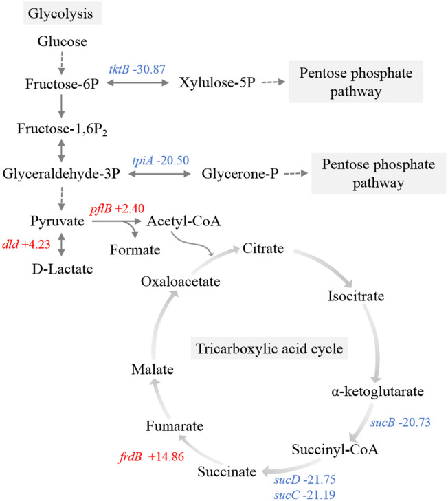 Figure 6