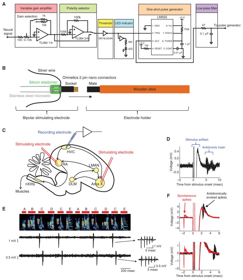 FIGURE 3