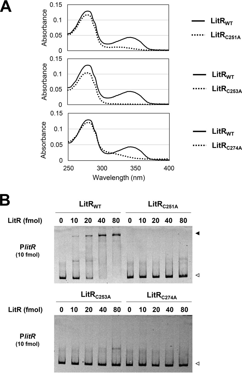 FIG 7