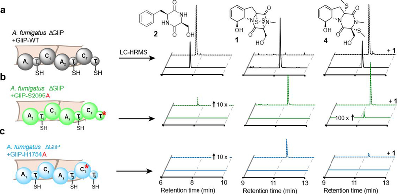 Figure 3.