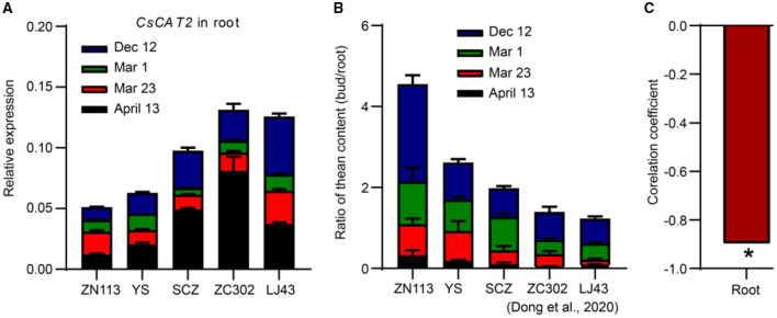 Figure 6