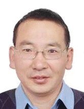 graphic file with name ADVS-10-2207090-g008.gif
