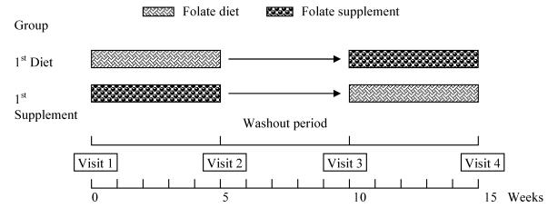 FIGURE 1