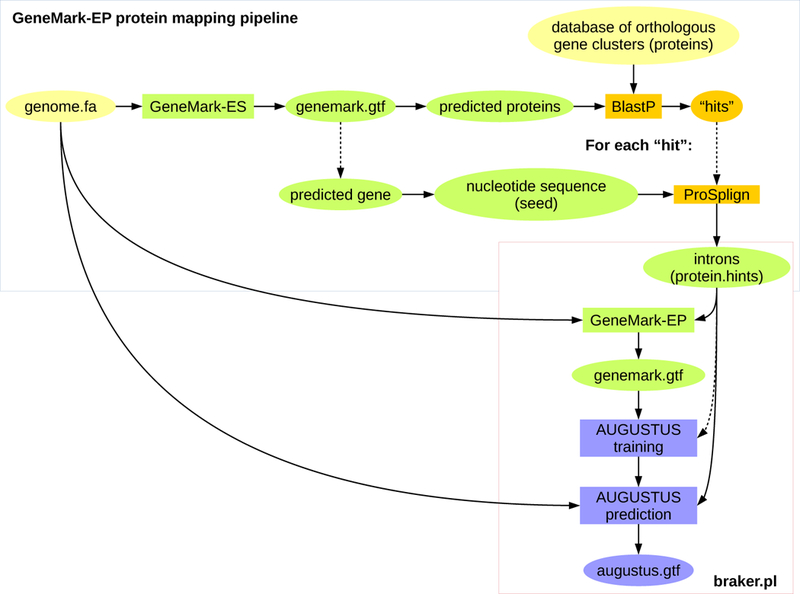 Figure 4: