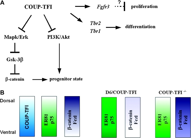 Figure 9.