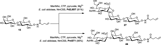 Scheme 2