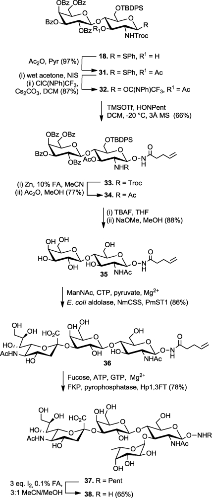 Scheme 4