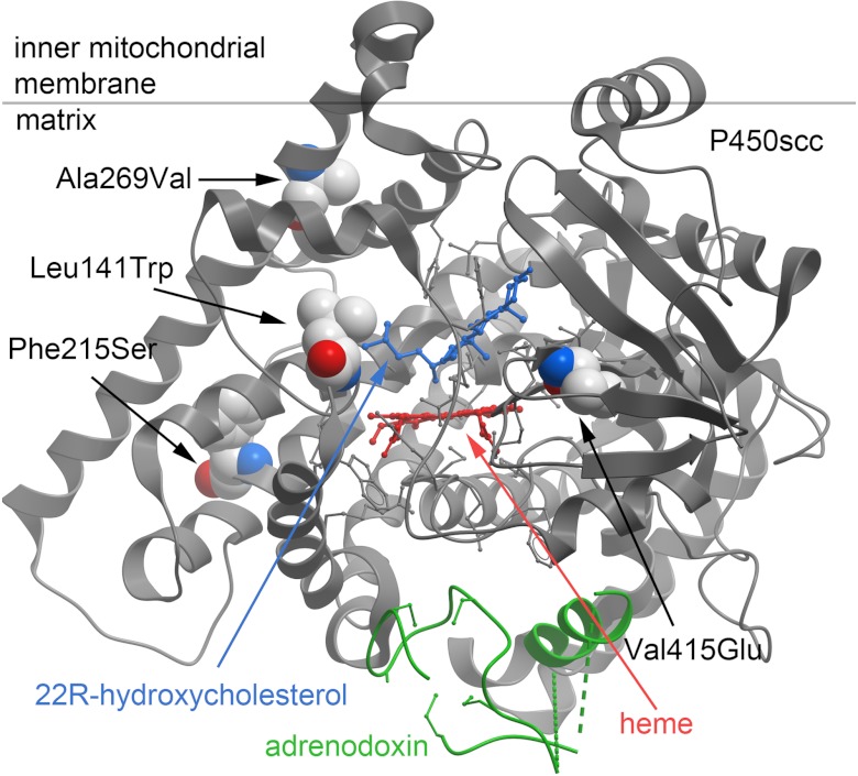 Figure 3.