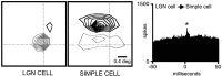 Fig. 11.