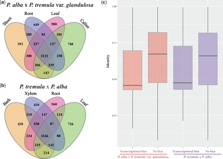 The genome of Populus alba x Populus tremula var. glandulosa clone 84K ...