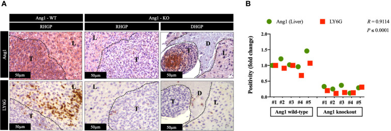 Figure 4