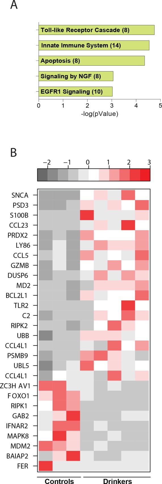 Fig 4