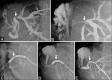 Figure 3 (A-E)