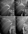 Figure 6 (A-D)