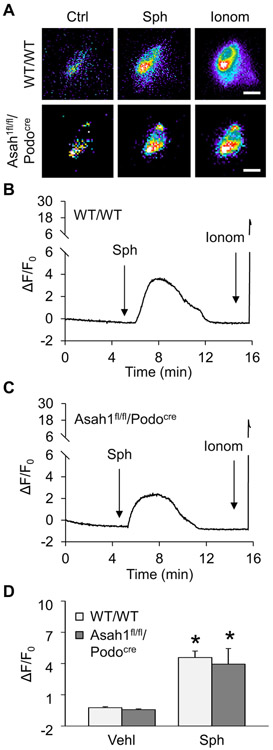 Fig. 5.