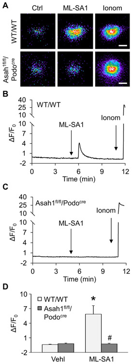 Fig. 4.