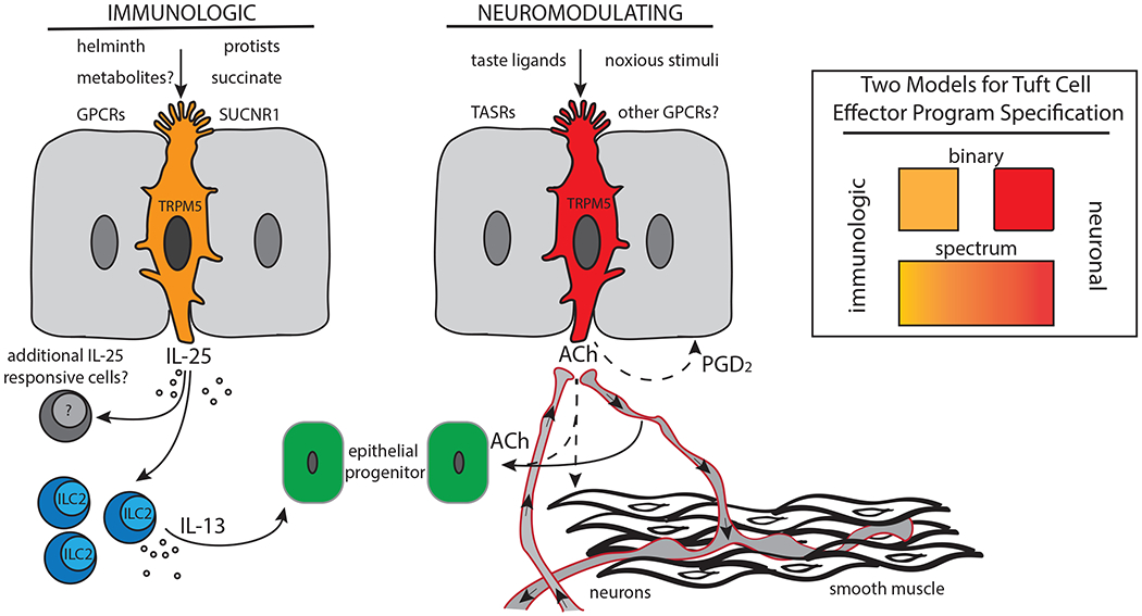 Figure 1: