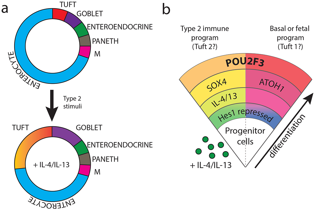 Figure 3: