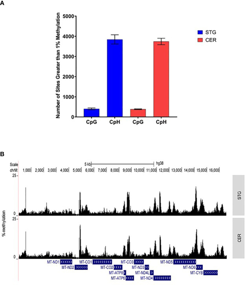 Figure 1