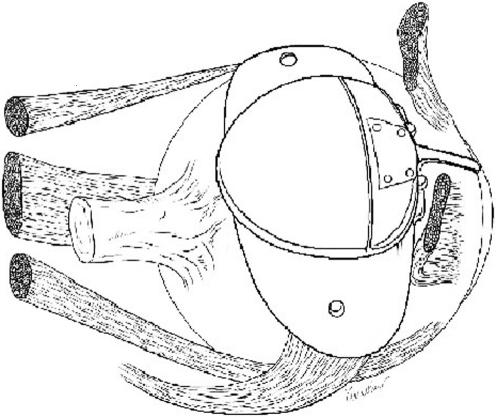 graphic file with name bj91272.f2.jpg