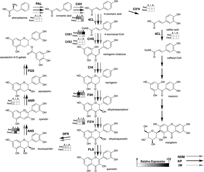 Fig. 5