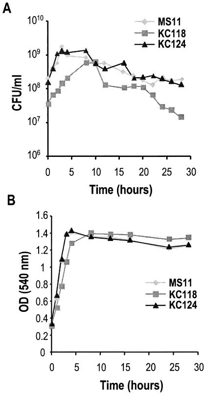 FIG. 1.