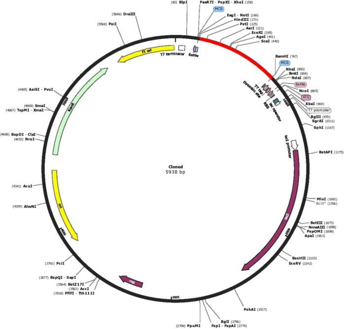 Figure 11