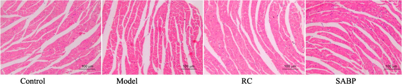 Fig. (4)