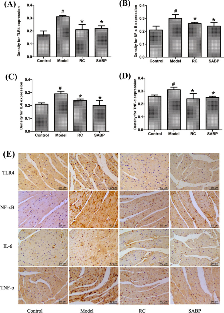 Fig. (5)