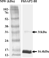 Figure-1