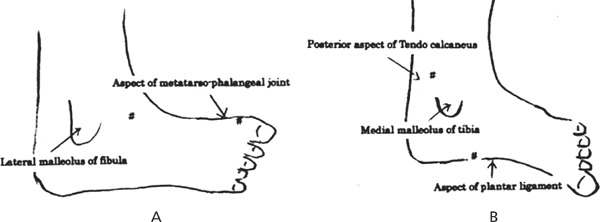 Fig. 1: