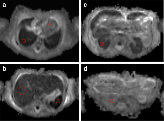 Fig. 2